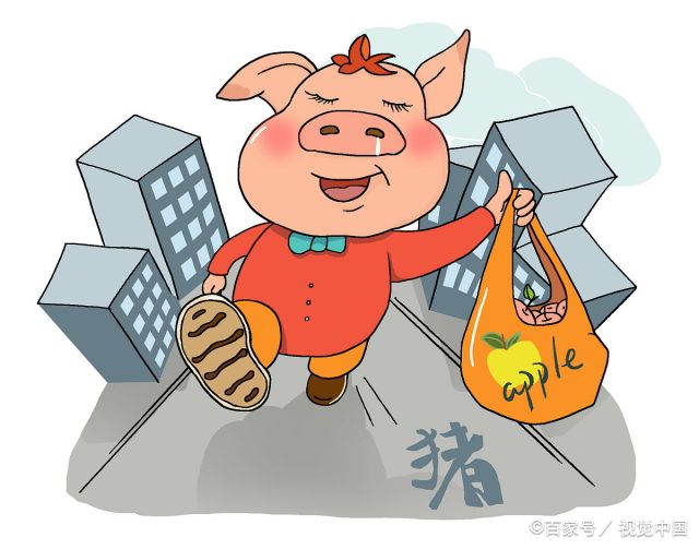 83属猪的一生婚姻外遇 属猪人一生最忌讳什么