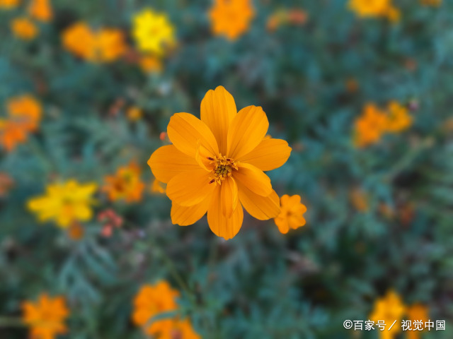 最近诸事不顺转运方法 运气不好的10个先兆