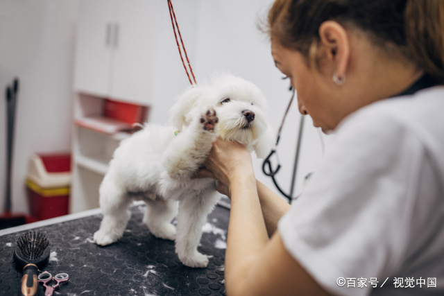 现在学什么行业的技术比较好  现在学什么技术比较有前途