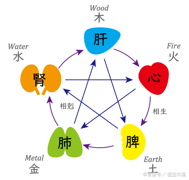 怎样判断一个人属金木水火土  人类是怎么知道自己的属相