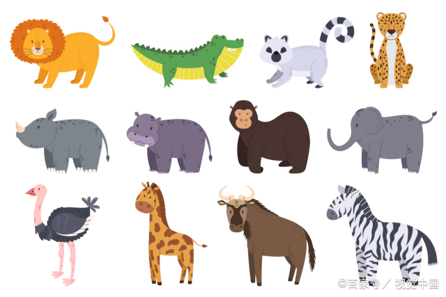 500种动物名称及图片  动物都有哪些种类啊