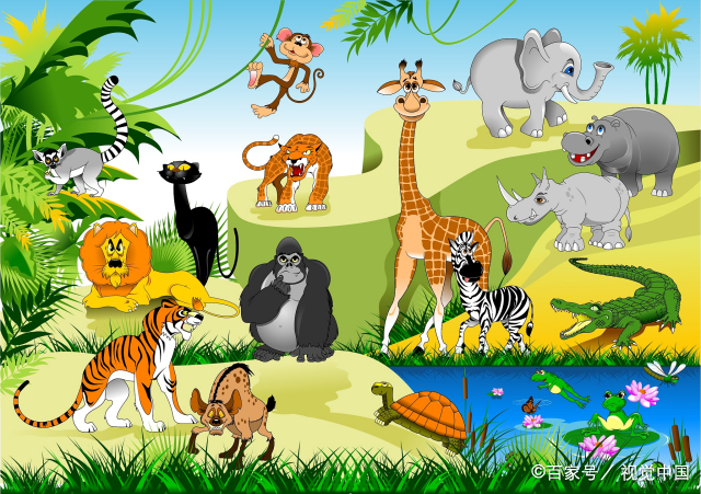 动物世界动物大全  动物园里都有哪些动物