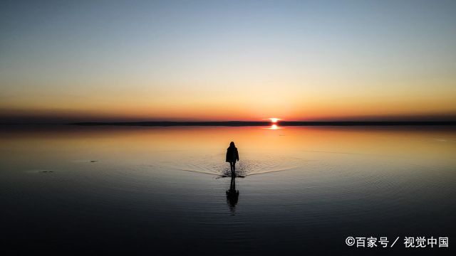 陶白白狮子座2023年的全年运势  2023年我的5个自媒体关键词我真的思考了很久