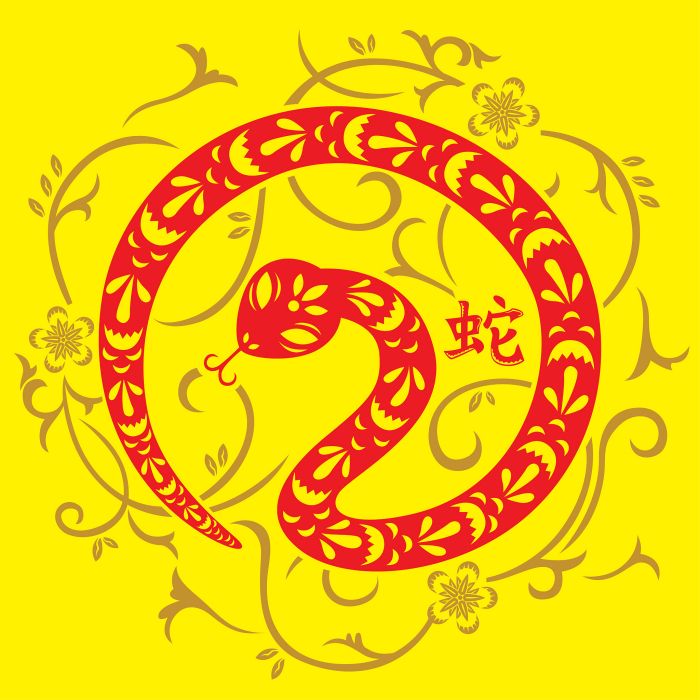 生肖蛇今日运势如何看，属蛇今天的财运运势怎么样