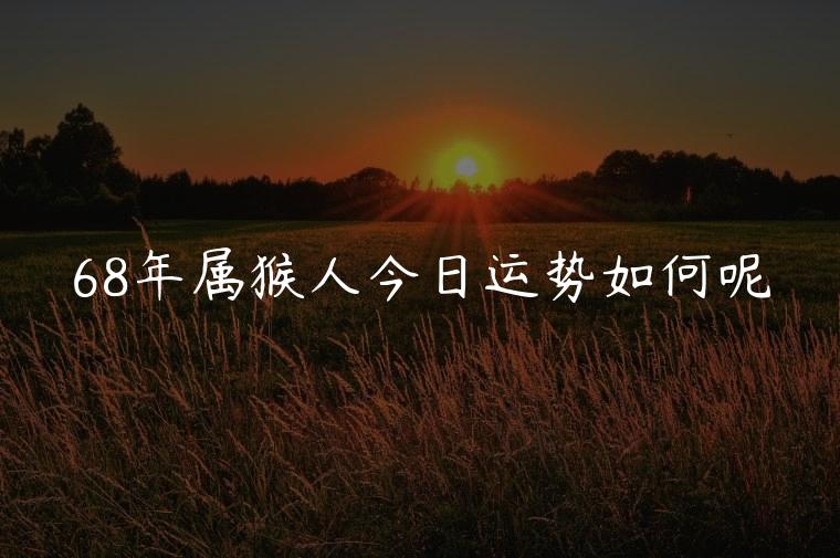 68年属猴人今日运势如何呢，68年属猴人今日运势如何