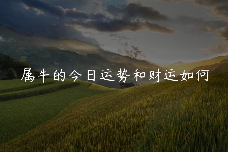 属牛的今日运势和财运如何，属牛今日运势分析财运如何