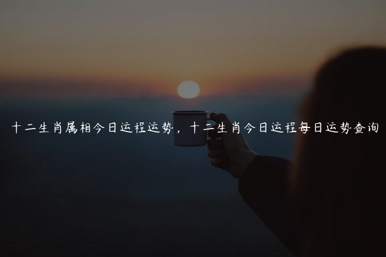 十二生肖属相今日运程运势，十二生肖今日运程每日运势查询
