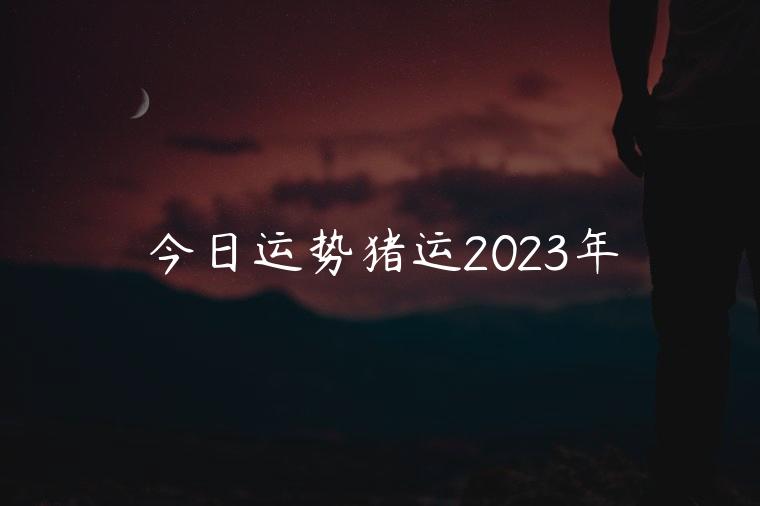 今日运势猪运2023年，猪运势2023年运势详解