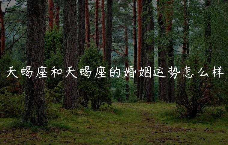 天蝎座和天蝎座的婚姻运势怎么样，天蝎座和天蝎座婚姻怎么样