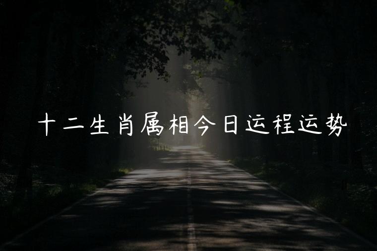 十二生肖属相今日运程运势，十二生肖运势每日运程