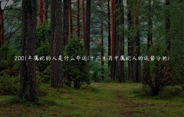 2001年属蛇的人是什么命运(十二生肖中属蛇人的运势分析)