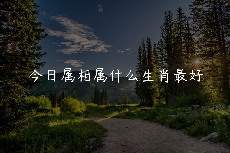 今日属相属什么生肖最好，今年属什么生肖最好运