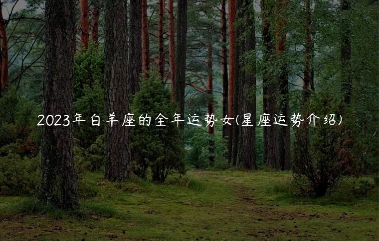 2023年白羊座的全年运势女(星座运势介绍)