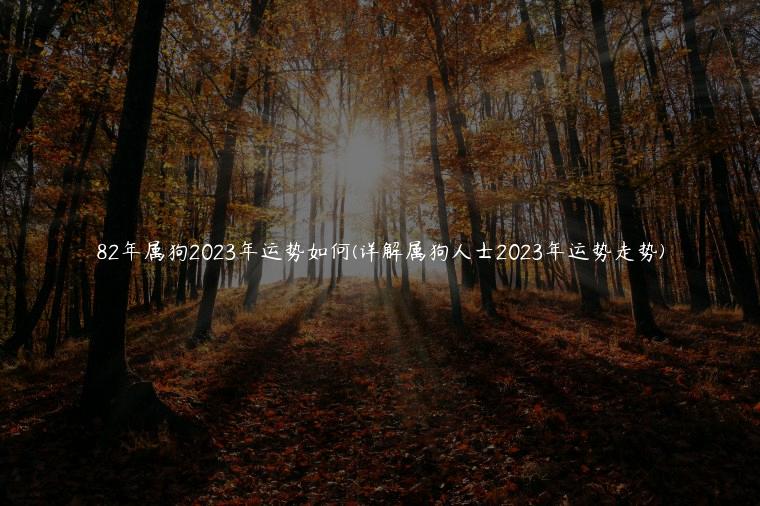 82年属狗2023年运势如何(详解属狗人士2023年运势走势)