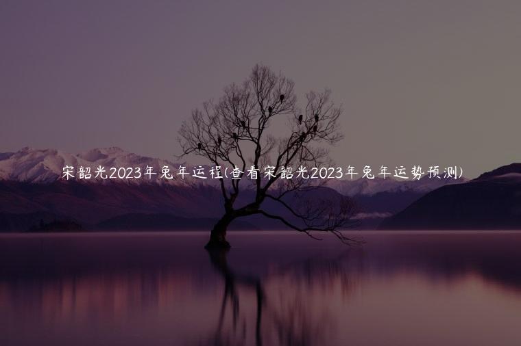 宋韶光2023年兔年运程(查看宋韶光2023年兔年运势预测)
