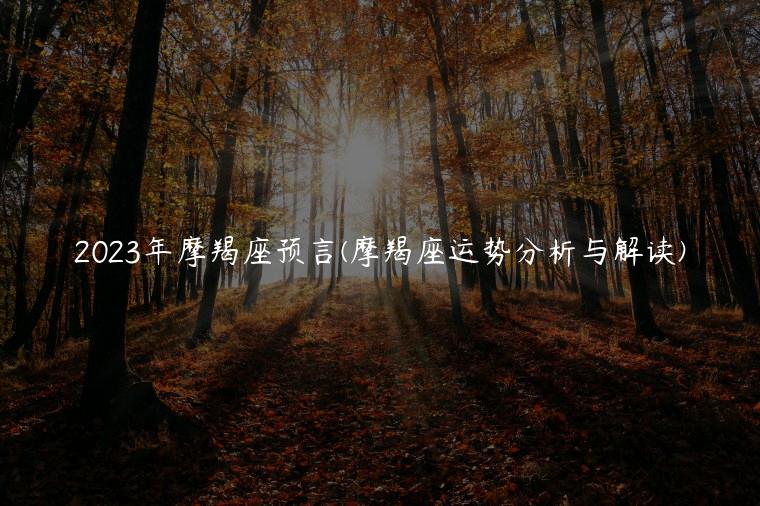 2023年摩羯座预言(摩羯座运势分析与解读)