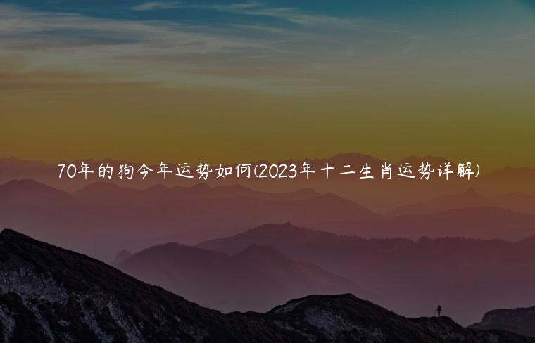 70年的狗今年运势如何(2023年十二生肖运势详解)