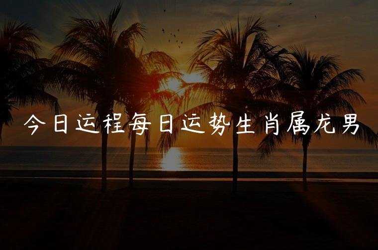 今日运程每日运势生肖属龙男，今日属龙男运势