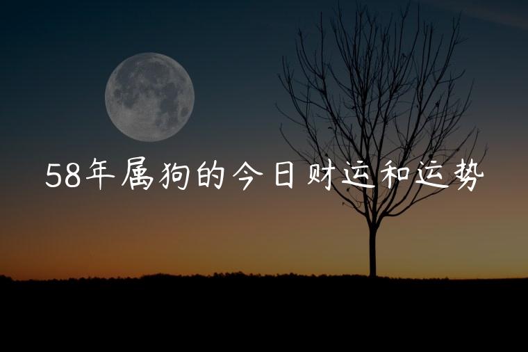 58年属狗的今日财运和运势，58年属狗的今日财运运势