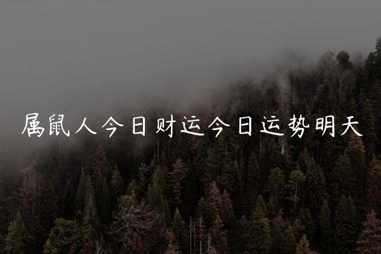 属鼠人今日财运今日运势明天，属鼠蛇今日财运运势如何