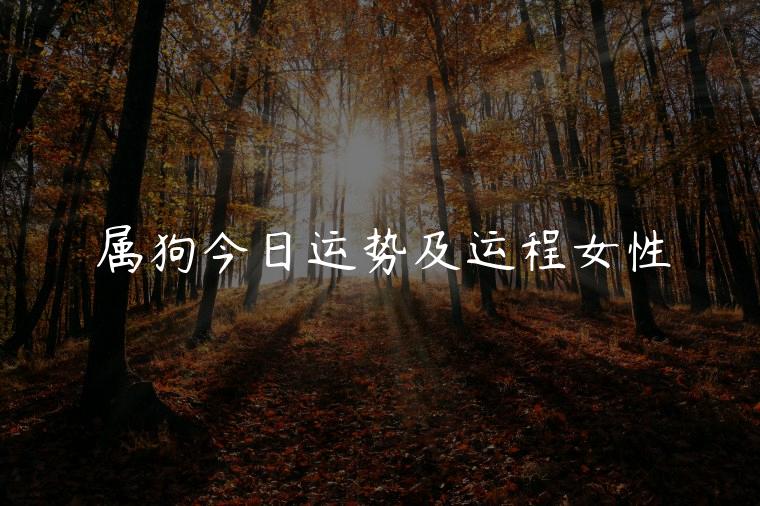 属狗今日运势及运程女性，属狗的今日运势及运程