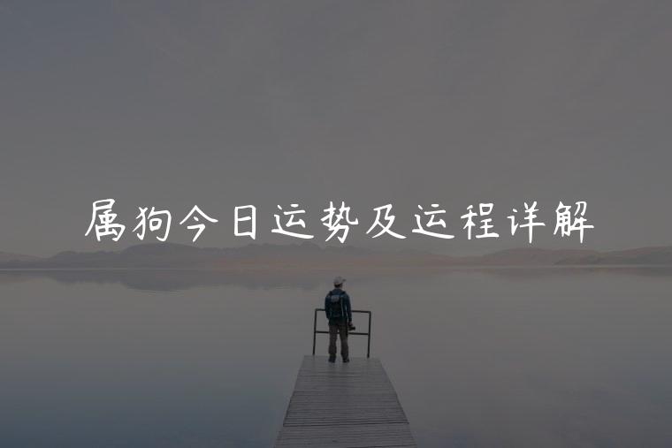 属狗今日运势及运程详解，属狗的今日运势及运程