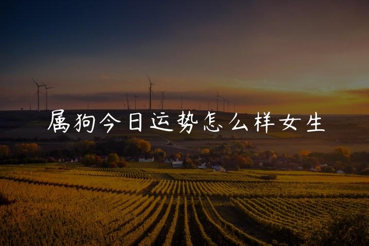 属狗今日运势怎么样女生，属狗今日运势每日运程