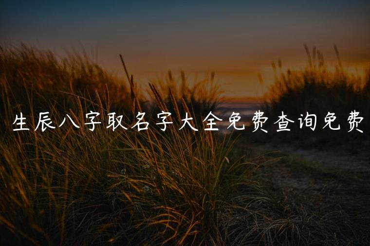 生辰八字取名字大全免费查询免费，生辰八字取名字大全