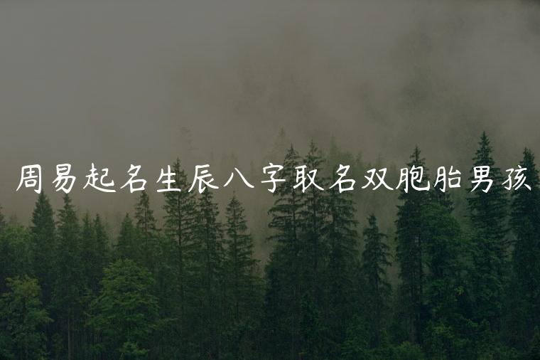 周易起名生辰八字取名双胞胎男孩，新生男孩生辰八字取名