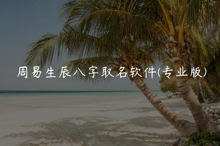 周易生辰八字取名软件(专业版)，周易生辰八字取名软件专业版