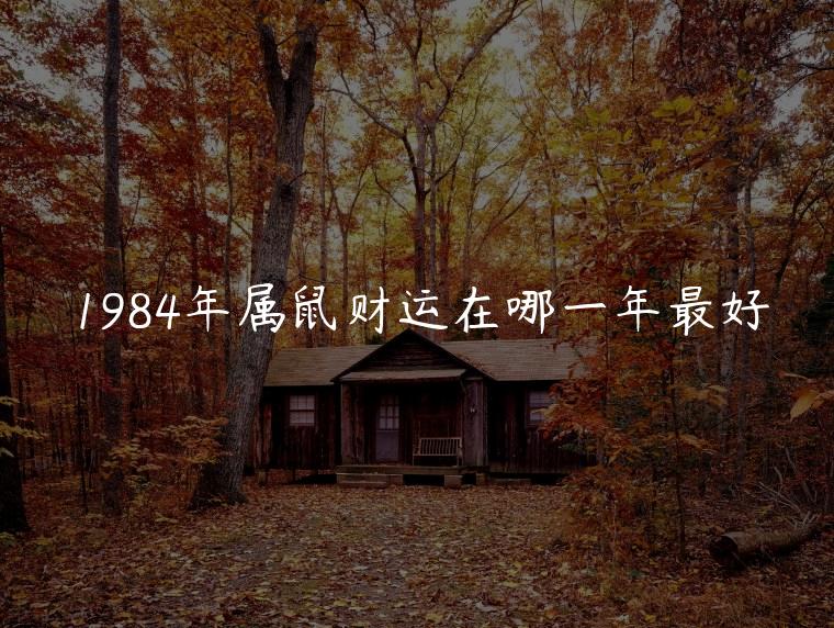 1984年属鼠财运在哪一年最好，1984年属鼠财运最好的一年