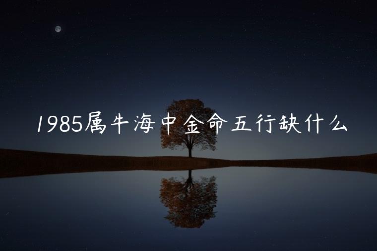 1985属牛海中金命五行缺什么，1985属牛海中金命缺什么