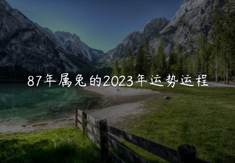 87年属兔的2023年运势运程，87年属兔的人2023年的运势及运程