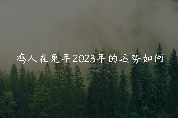 鸡人在兔年2023年的运势如何，鸡人在兔年2023年的运势如何呢