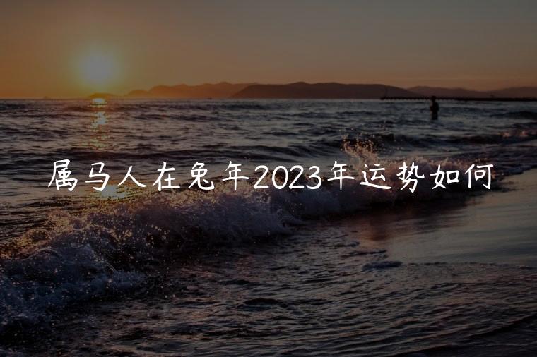 属马人在兔年2023年运势如何，属马人2023年兔年全年运势如何