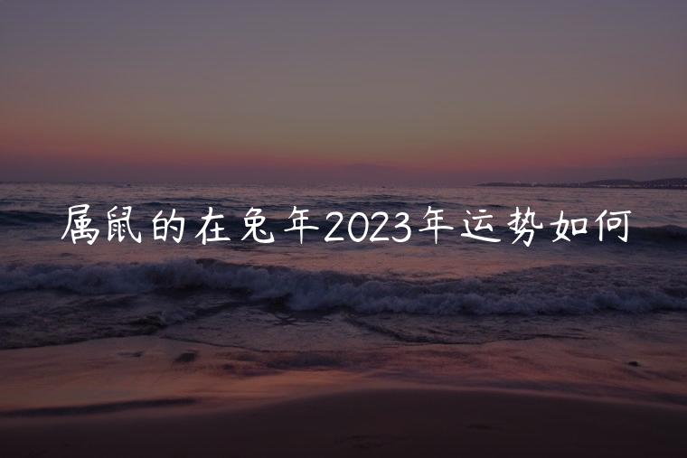 属鼠的在兔年2023年运势如何，属鼠的在兔年运势