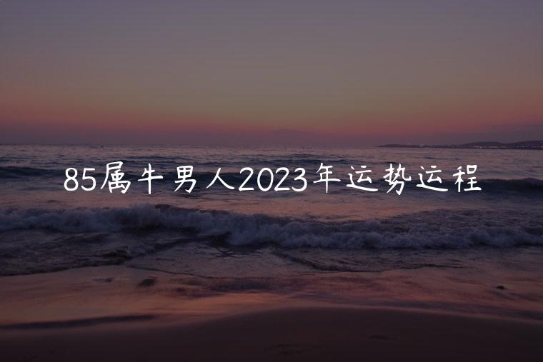 85属牛男人2023年运势运程，85属牛男2023年运势及运程