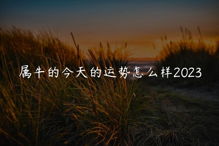 属牛的今天的运势怎么样2023，属牛今年的运势怎么样2023