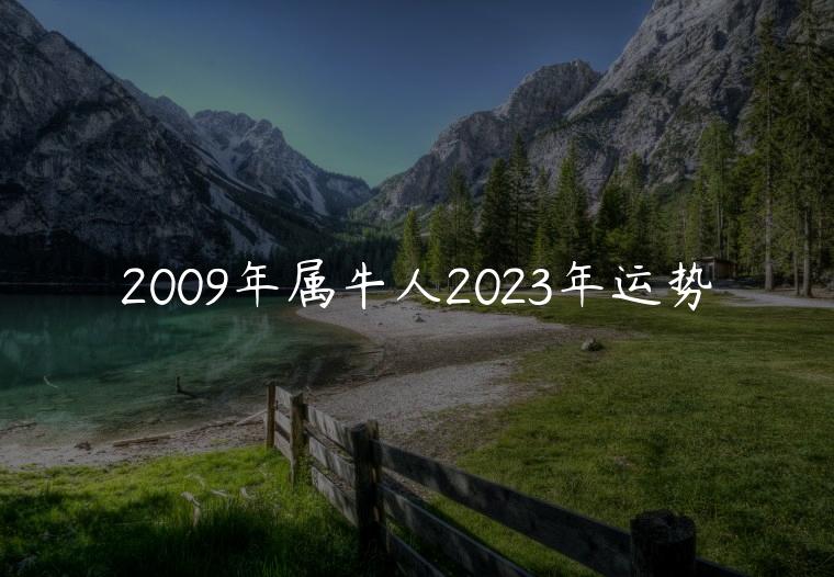2009年属牛人2023年运势，2009年属牛人2023年运势男性