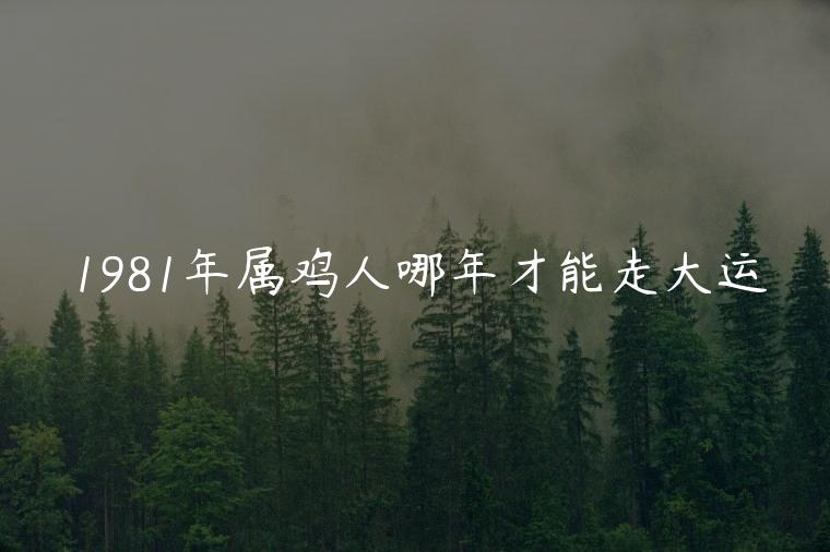 1981年属鸡人哪年才能走大运，1981年属鸡男哪一年走大运