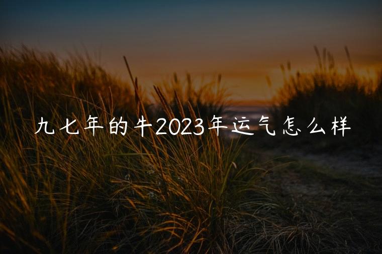 九七年的牛2023年运气怎么样，九七年的牛今年运气怎么样