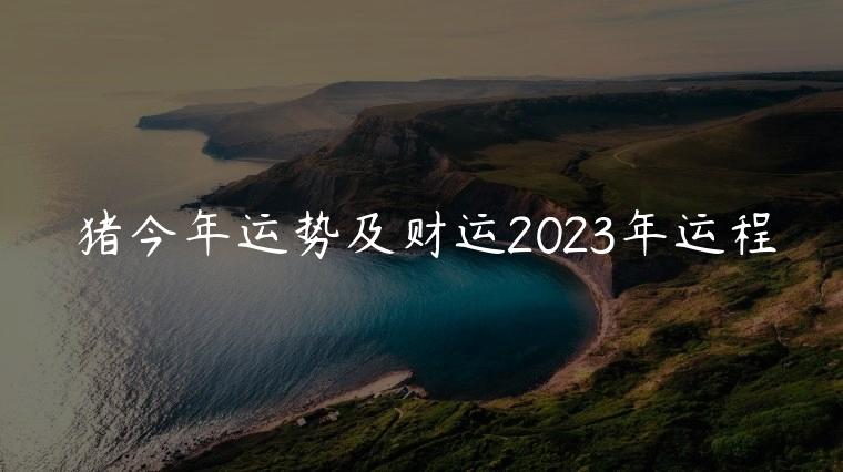 猪今年运势及财运2023年运程，猪运势2023年运势详解