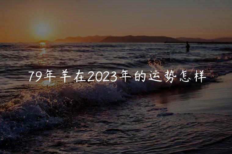 79年羊在2023年的运势怎样，79年羊在2023的运势