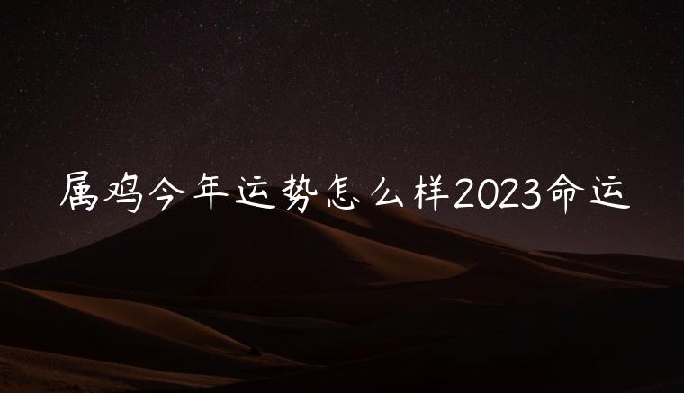属鸡今年运势怎么样2023命运，属鸡今年运势怎么样2023