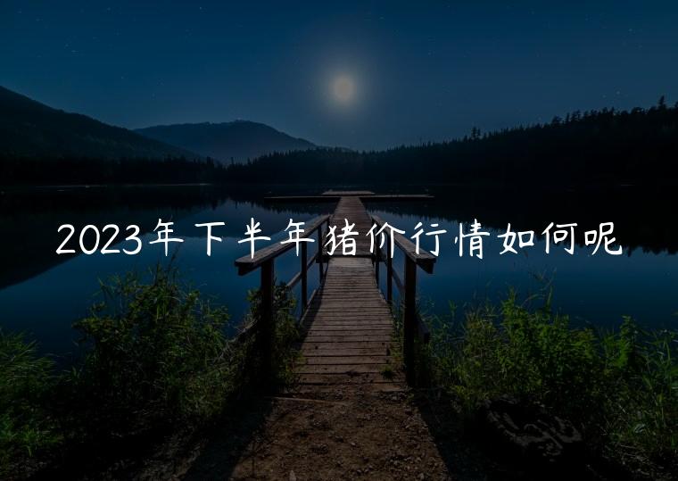 2023年下半年猪价行情如何呢，今年下半年猪价行情如何