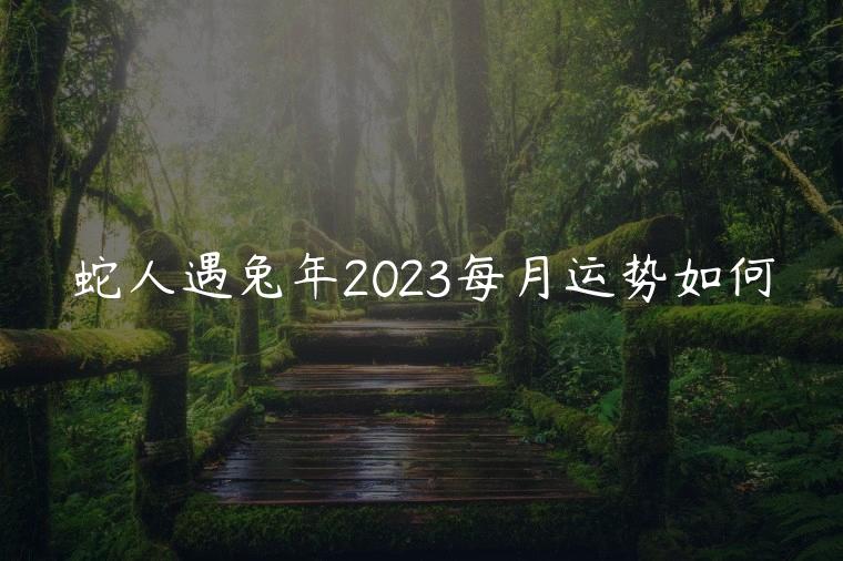 蛇人遇兔年2023每月运势如何，蛇人遇牛年2023每月运势如何