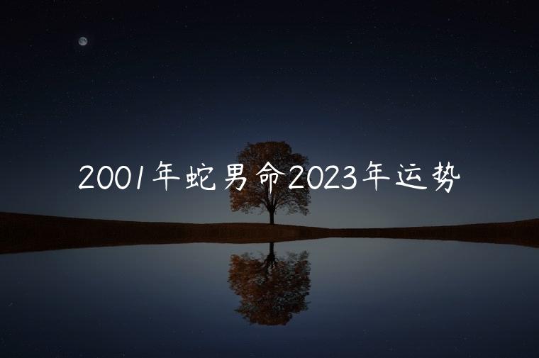2001年蛇男命2023年运势，2001年蛇男命2023年运势有贵人吗