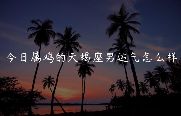 今日属鸡的天蝎座男运气怎么样，属鸡的天蝎座男的运势如何