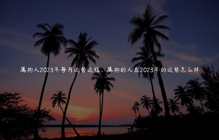 属狗人2023年每月运势运程，属狗的人在2023年的运势怎么样