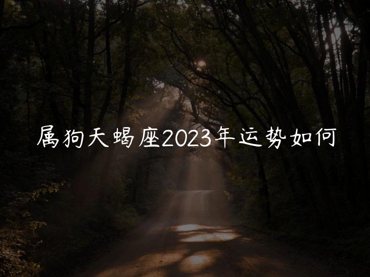 属狗天蝎座2023年运势如何，属虎天蝎座2023年运势完整版